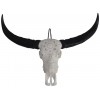011 0877 Buffalo Skull